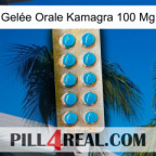 Gelée Orale Kamagra 100 Mg new09